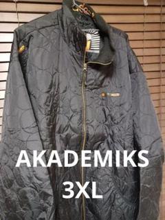 90s アカデミクス 中綿入りナイロンジャケット B系 Y2K Bboyのサムネイル