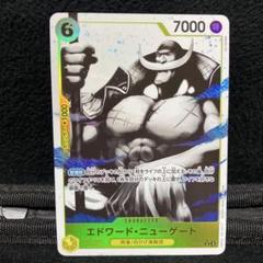 エドワード・ニューゲートパラレル　使用済み硬質ローダー付き 2025年最新】エドワードニューゲート パラレルの人気アイテム