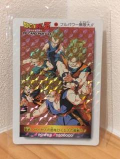 ドラゴンボールZ PPカード フルパワー無限大