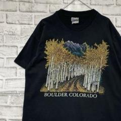 USA製90sヴィンテージTシャツ！シングルステッチ　ブラック半袖古着L717