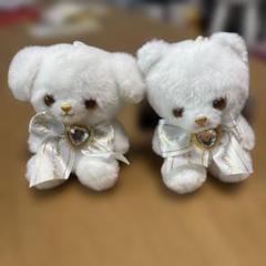 真っ白なお友達びっぐぬいぐるみ　犬　猫　うさぎ　くま 真っ白なお友達 びっぐ ぬいぐるみ｜タイトーの6月のおすすめ