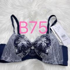 トリンプ レッドレーベル バイ 0112 ブラジャー ブルー B75
