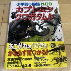 カブトムシ・クワガタムシ