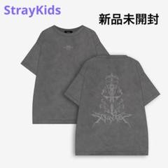 【mirimamaプロフィール必読】StrayKidsソウルコンTシャツ 2025年最新】straykids ソウルコン tシャツの人気アイテム