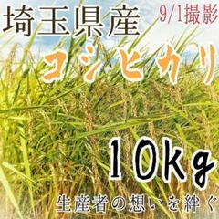 無洗米OK 令和2年度 埼玉県産 新米コシヒカリ 白米10kg 精米料込み