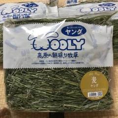 2024年度産 ウーリー 高原の朝採り牧草 麦 ヤング 新品未開封3袋 512pEaCzcJL._UF894,1000_QL80_.jpg