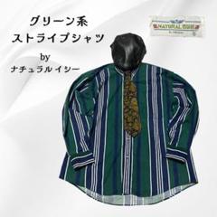 ナチュラルイシー グリーン系ストライプシャツLサイズF336