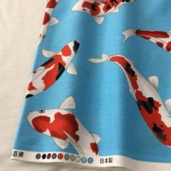 (1点限定) 綿100%国産プリント生地/鯉/2m