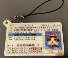 新品未使用 元祖なめ猫 なめんなよ なめねこ 免許証ストラップ