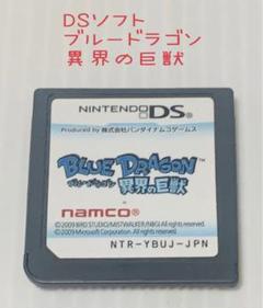 DS ブルードラゴン 異界の巨獣 BLUE DRAGON namco ソフトのみ