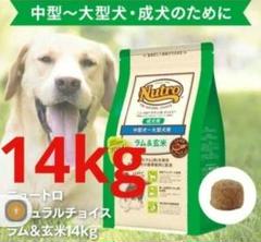 値下げ不可☆ニュートロナチュラルチョイス成犬ラム&玄米中大型犬14kg ニュートロナチュラルチョイス ラム&玄米 中型犬 大型犬 成犬用