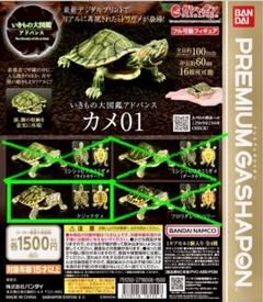 2025年最新】いきもの大図鑑アドバンスかめ01の人気アイテム