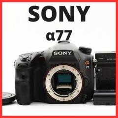 2025年最新】slt-a77vの人気アイテム - メルカリ