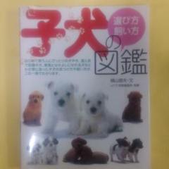 【USED】yukiemon こいぬ図鑑　3L 杢グレー yukiemon ユキエモン コラージュ スエットプルオーバー こねこ