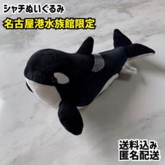 名古屋港水族館　シャチ　ぬいぐるみ　7点　特大　まとめ売り　ばら売り不可 名古屋港水族館 シャチ ぬいぐるみ