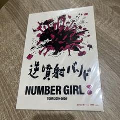 未使用缶バッジ2個セット❗️ナンバーガール NUMBER GIRL 向井