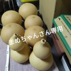 ひょうたんマリー5こと千成りひょうたん2こと豆ひょうたん23こ ひょうたんマリー5こと千成りひょうたん2こと豆ひょうたん23こ