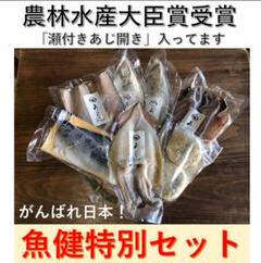 魚健特別セット