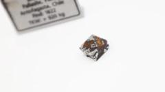 【汚れ有り中古】イミラック隕石 ペンダントトップ 汚れ有り中古】イミラック隕石 ペンダントトップ