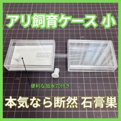 2025年最新】標本箱 大型の人気アイテム - メルカリ