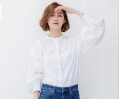 23区　カンクリーニ　シャーティングチュニックシャツ　46 大きいサイズ 23区＊CANCLINI スキッパーチュニック シャツ /大きいサイズXL