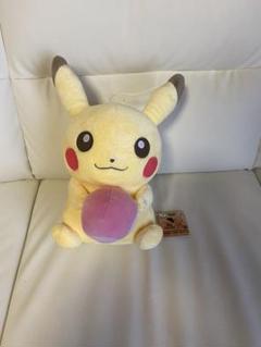 ピカチュウぬいぐるみ新品タグ付き