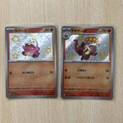 ホゲータ S、アチゲータ S