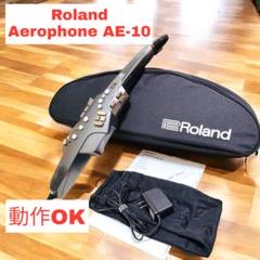 【極美品】Roland ローランド Aerophone AE-10 豪華特典付 渋さが際立つ大人デザインカラー！電子管楽器 エアロフォン