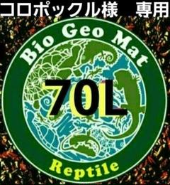 2025年最新】バイオジオマットの人気アイテム - メルカリ
