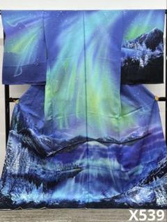 訪問着 未仕立て品 仮絵羽 銀通し オーロラ 正絹 八掛付き 大衆演劇 舞台衣装