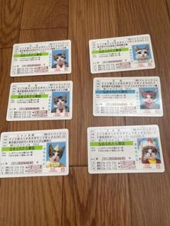 希少　なめ猫　カード　レトロ