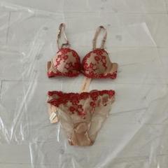 新品 LISE CHARMEL ブラジャー FR85 D ショーツ FR1 - メルカリ
