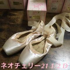 シルビア　トゥシューズ ネオチェリー　23.5 E シルビアトウシューズ ネオチェリー(21.0-25.5cm)E(広幅