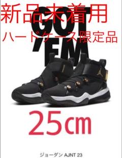 【新品未着用】JORDAN AJNT23 希少 25センチ ハードケース限定品