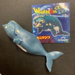 2025年最新】くじら&co セミクジラの人気アイテム - メルカリ