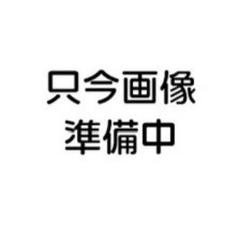 2025年最新】ホーク マフラー バブの人気アイテム - メルカリ