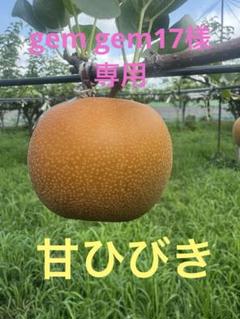 ⚠️gem gem17⚠️茨城県産 梨/甘ひびき 秀品/5キロ ⚠️gem gem17様専用⚠️茨城県産 梨/甘ひびき 秀品/5キロ