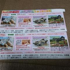 上野動物園 多摩動物公園 葛西臨海公園 他 都立9庭園 無料入園券 2枚