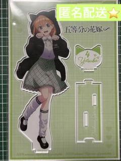 五等分の花嫁 中野四葉 ドンキ アクリルスタンド 猫耳パーカー