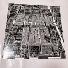 blink-182 Neighborhoods レコード