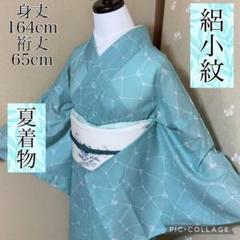 セール♪桜蝶舞清来衣文様六通柄袋帯着物