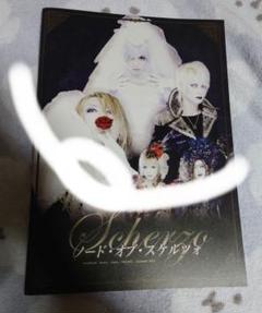 【貴重】LAREINE　&　NEW SODMY パンフセット　KAMIJO KAMIJO 特典Self Cover CD PREMIUM TOUR 2025-MASTERPIECE- LA