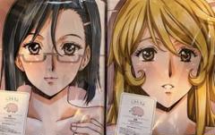 【正規品・未開封】俺の嫁！うるし原智志 森雪・新見薫 抱き枕カバー２枚セット 正規品・未開封】俺の嫁！うるし原智志 森雪・新見薫 抱き枕