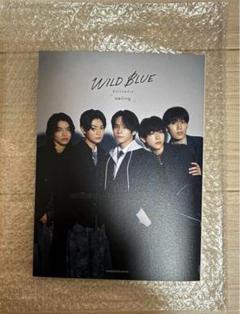 WILDBLUE オフィシャルブック「sailing」 WILD BLUEオフィシャルブック「sailing」 | 書籍
