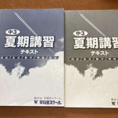 2025年最新】中学3年夏期講習テキストの人気アイテム - メルカリ
