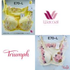 ワコール PARFAGE パーソナルフィットプラスブラ ブラジャー単品