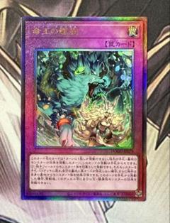 遊戯王　命王の螺旋　ドミナス・スパイラル