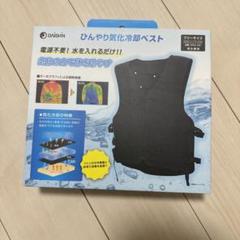 m11553778540_1.jpg?1751187119