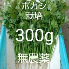 ボカシ栽培の無農薬パクチー300g