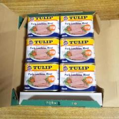 ランチョンミート　TULIP 14缶セット Amazon.co.jp: チューリップポークランチョンミート 250g ＋